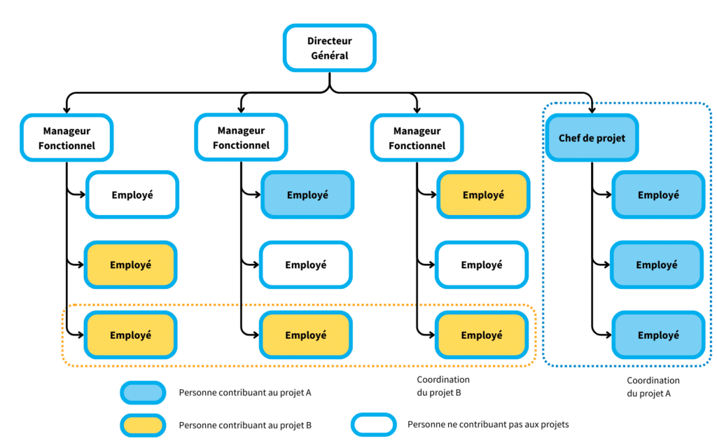 Schéma représentant une structure d'organisation d'entreprise composite avec une base d'organisation matricielle faible et projets stratégique indépendants.