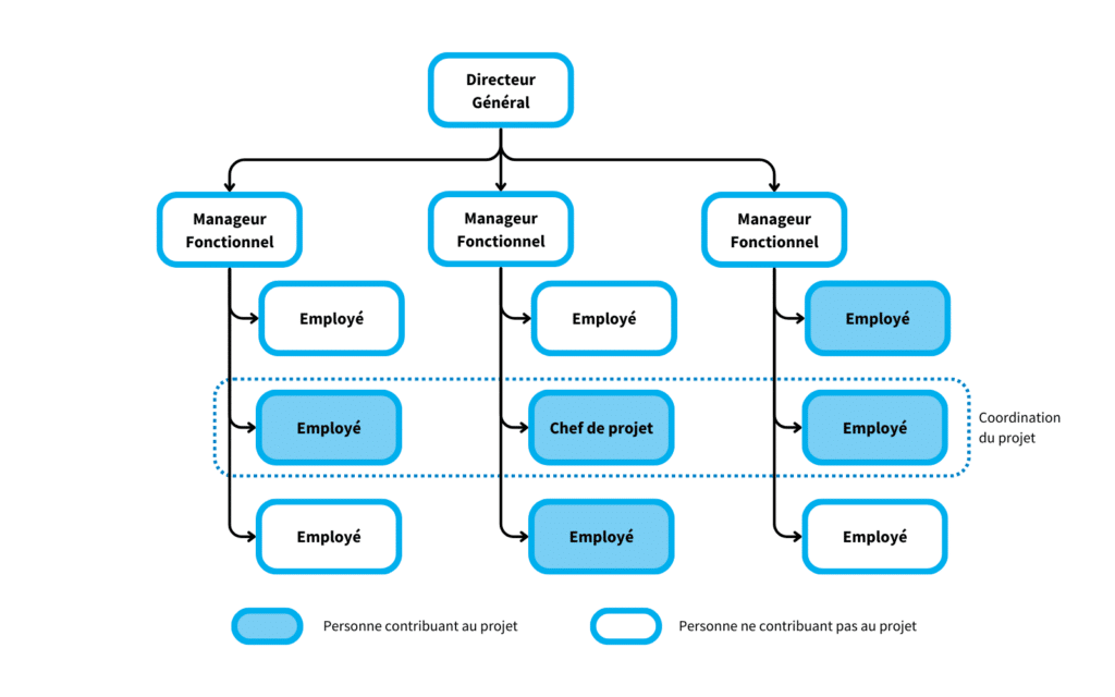 Schéma représentant une structure d'organisation d'entreprise matricielle équilibré.