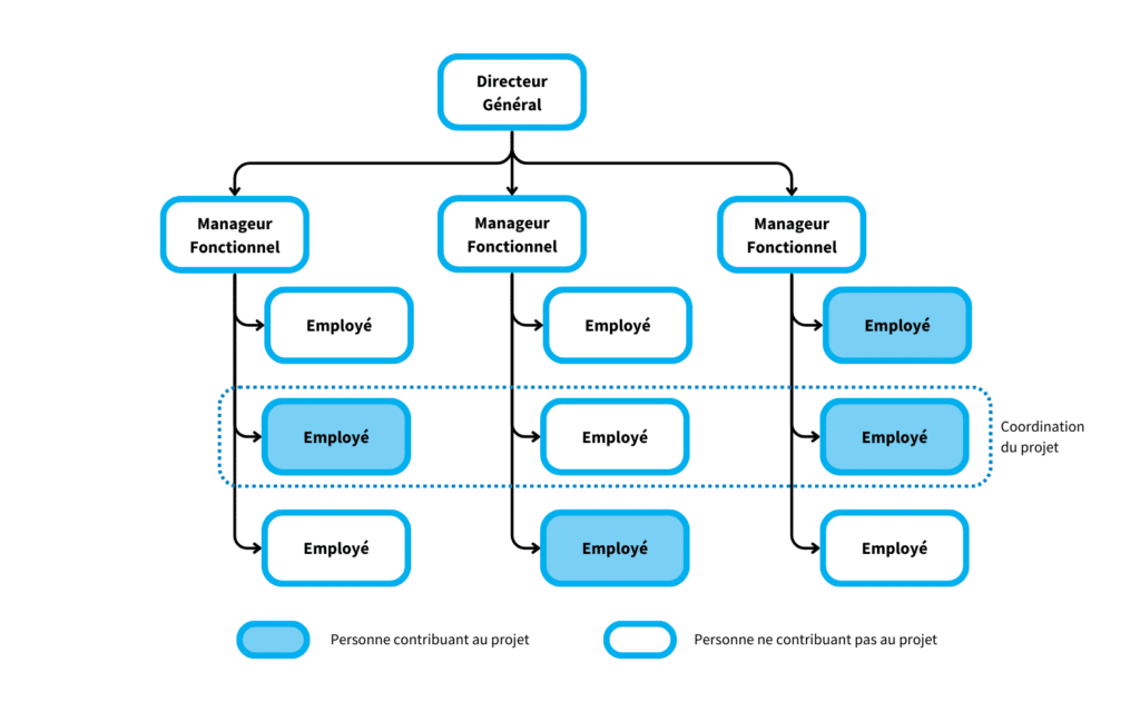 Schéma représentant une structure d'organisation d'entreprise matricielle faible.