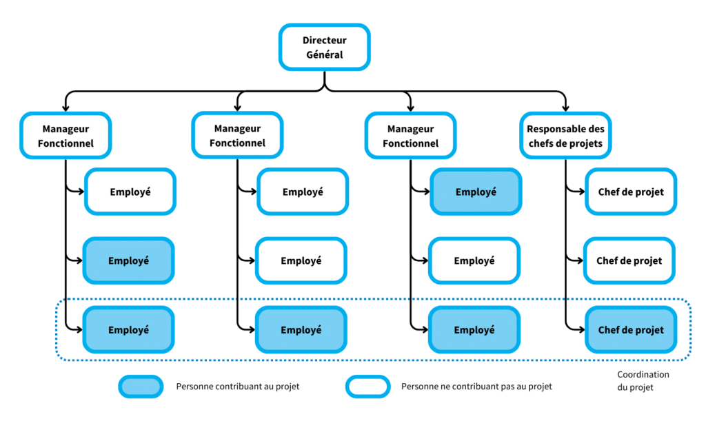 Schéma représentant une structure d'organisation d'entreprise matricielle forte.