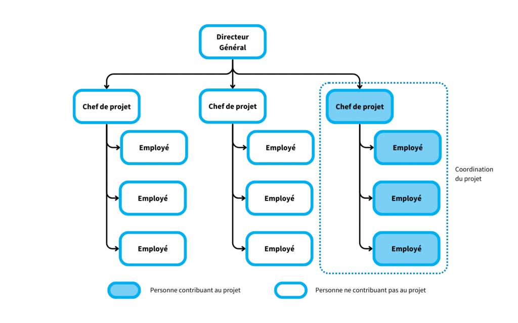 Schéma représentant une structure d'organisation d'entreprise orienté projet 